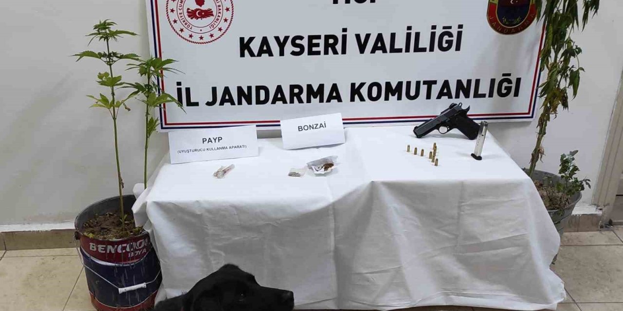 Kenevir Yetiştiren Şahıs Yakalandı