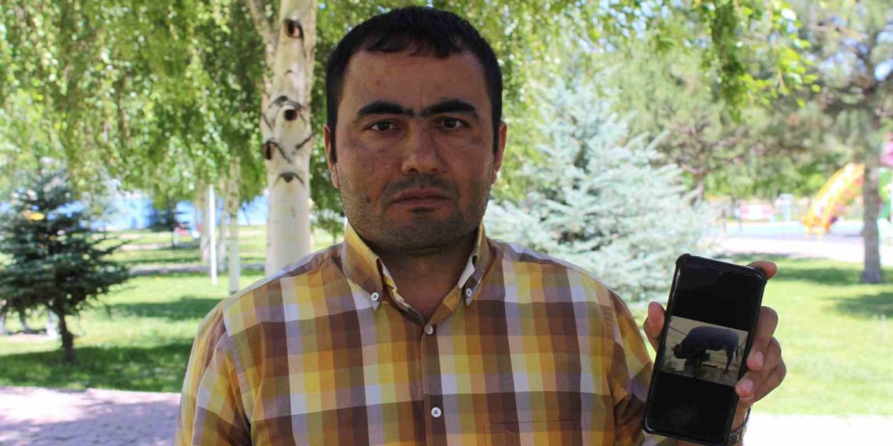 Önce Hastalıklı Kurbanlık Sattılar, Sonra Tehdit Ettiler