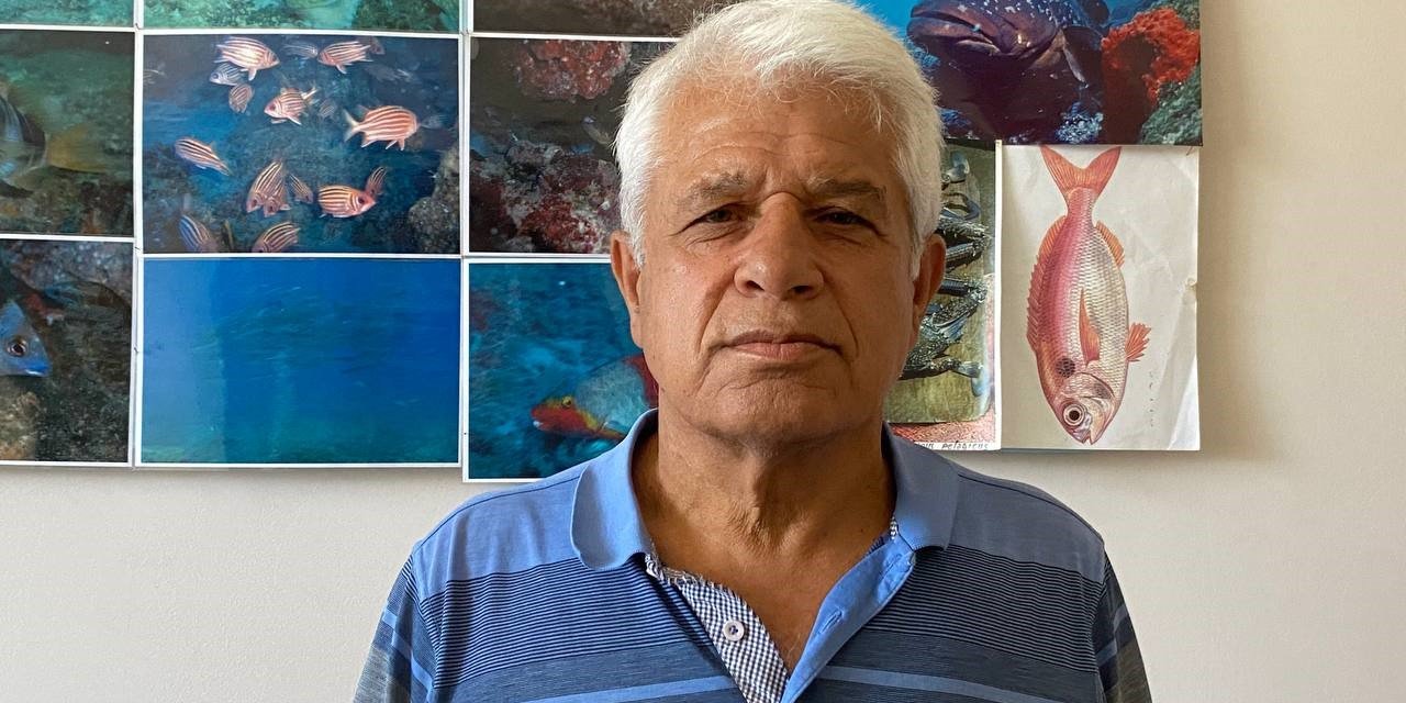 Antalya Açıklarında Ölü Yunus Bulundu