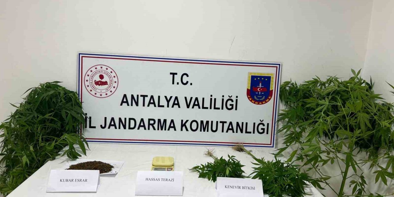 Jandarma Uyuşturucu Tacirlerine Göz Açtırmıyor
