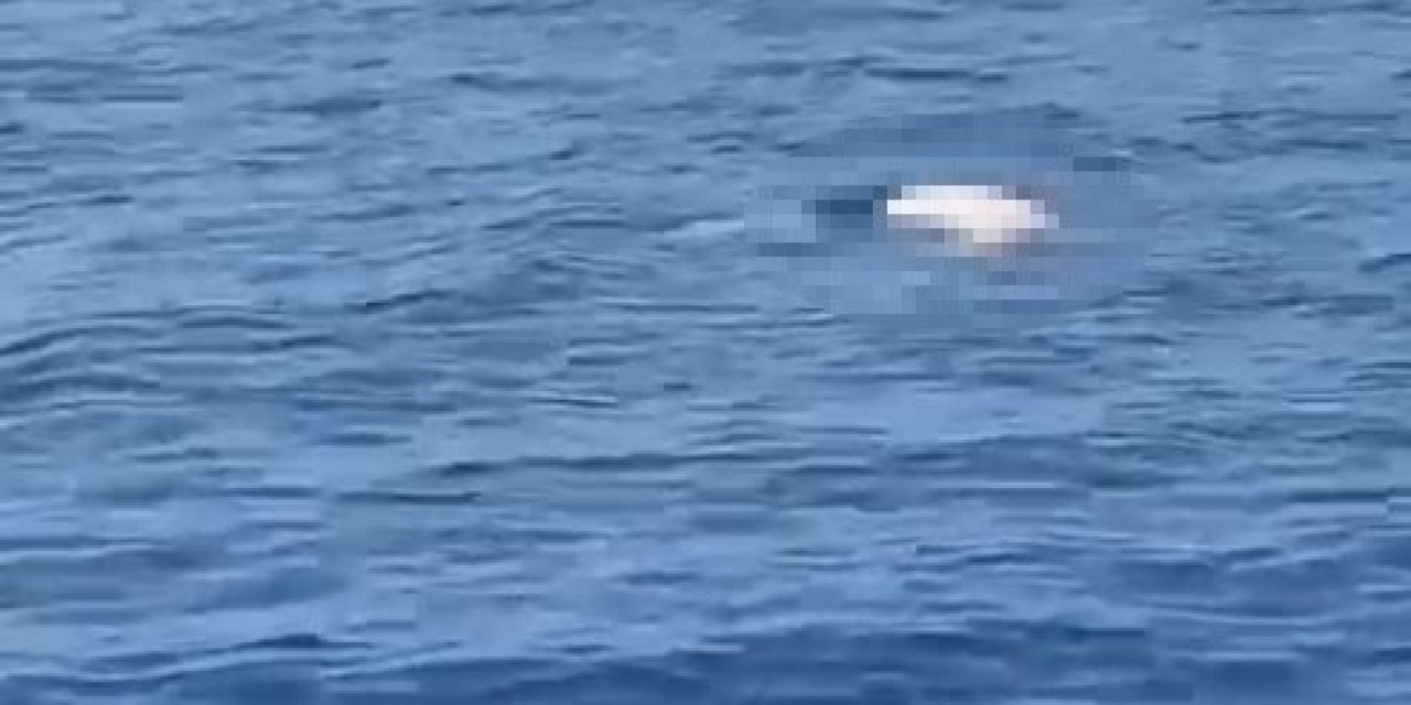 Antalya’da Deniz Üzerinde Erkek Cesedi Bulundu