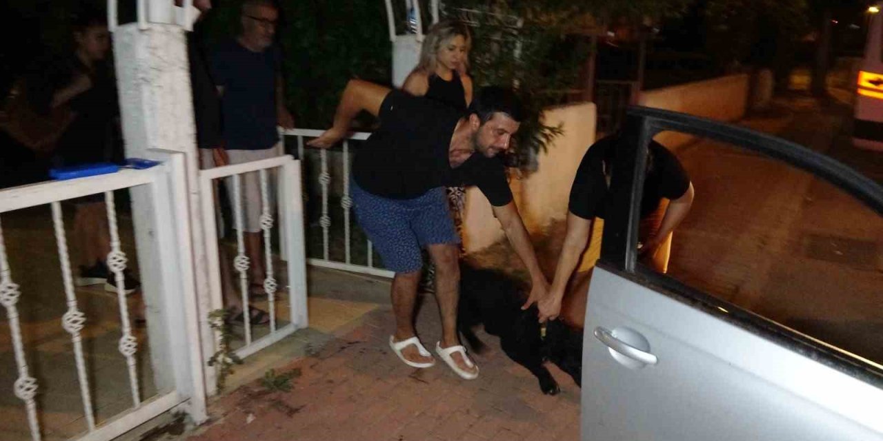 Tasmasız Ve Ağızlıksız Doberman Parkta Aileye Dehşeti Yaşattı