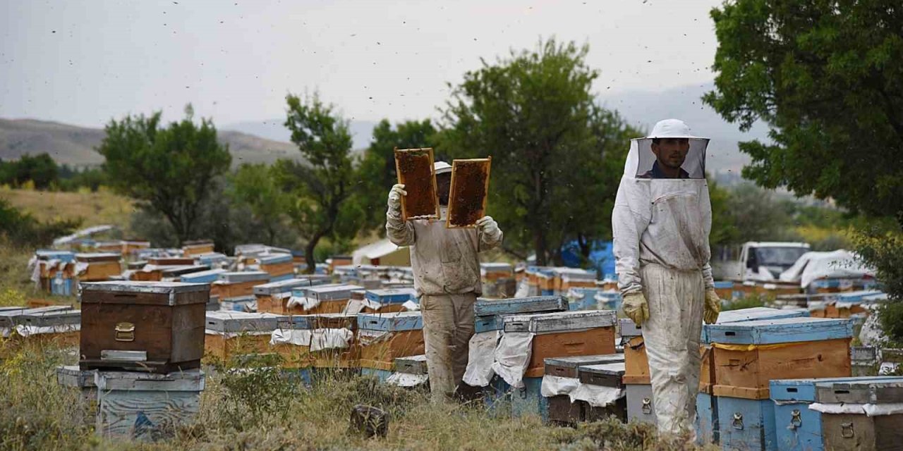 Fenni Arıcılık Kredi Desteği