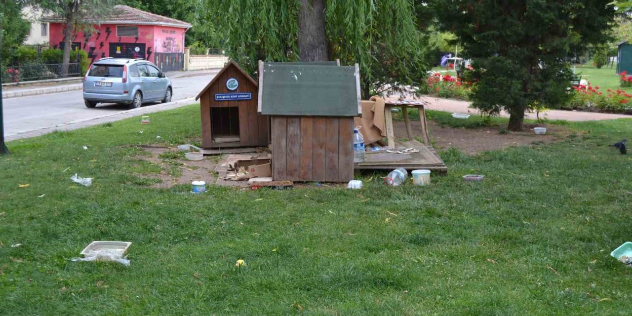 Böyle Köpek Besleme Olur Mu?