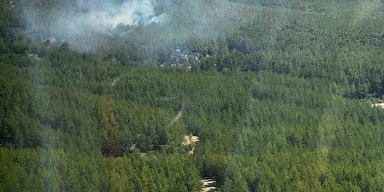 Antalya’da Orman Yangını
