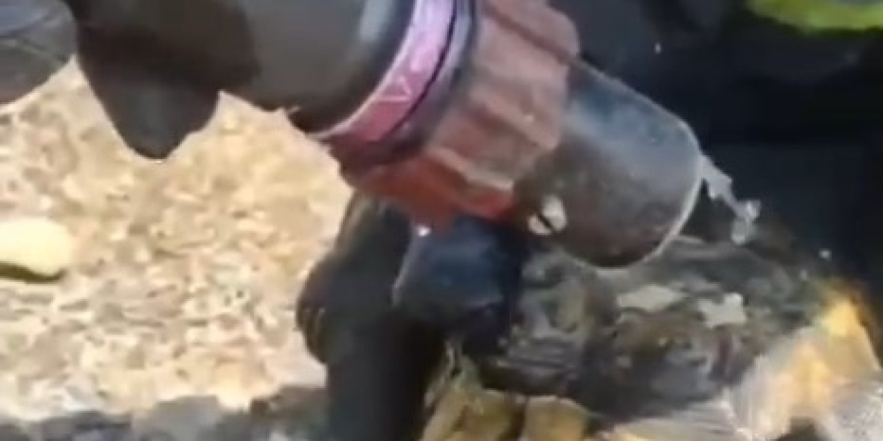 Mahsur Kalan Kaplumbağaları İtfaiye Kurtardı