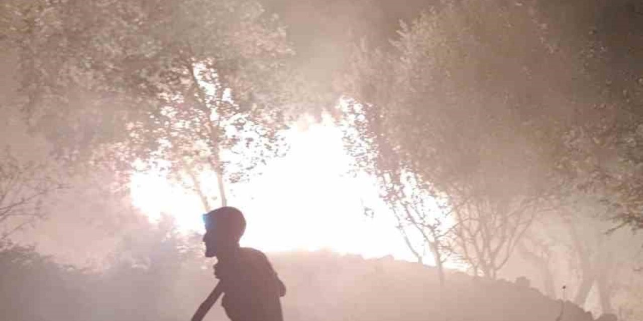 Gazipaşa’da Yangın Paniği