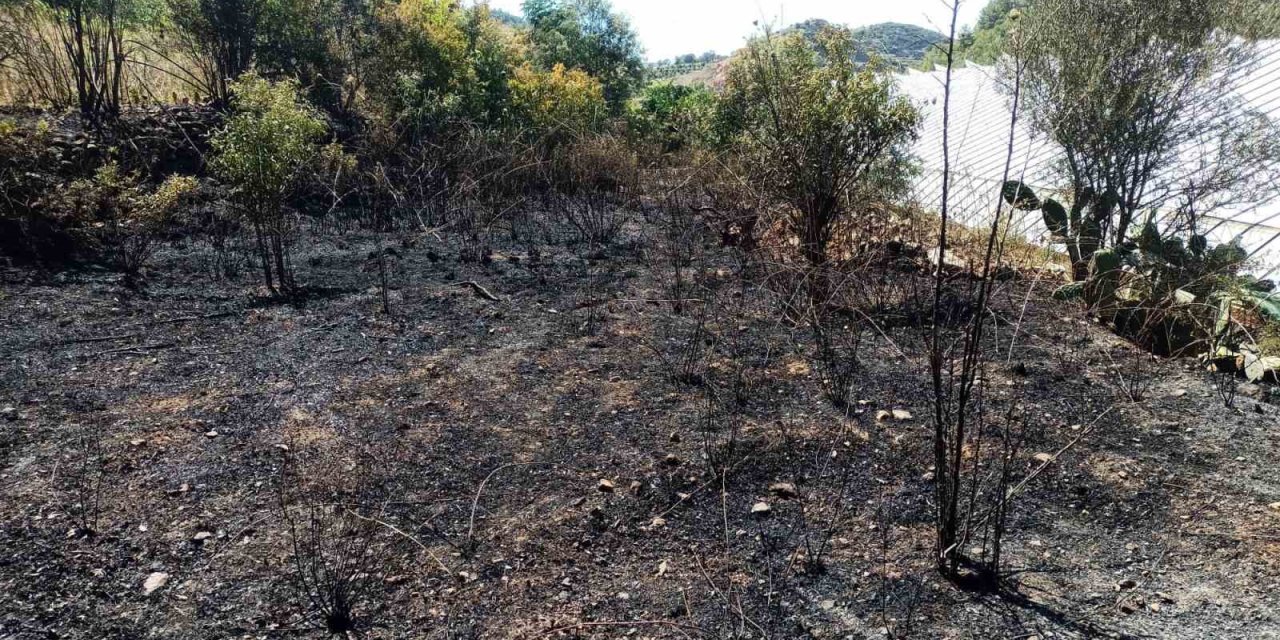Alanya’da, Bahçe Yangınında Meyve Ağaçları Ve Sulama Sistemi Zarar Gördü
