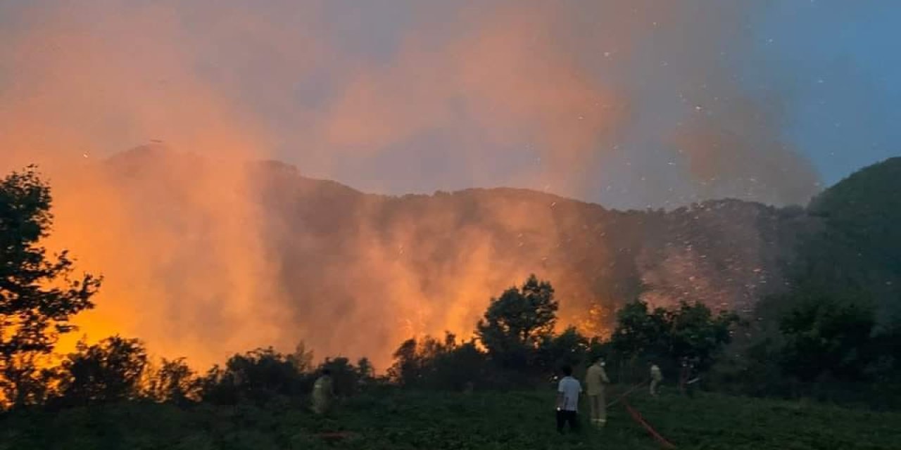Mersin’de Orman Yangını Havadan Ve Karadan Müdahale İle Kontrol Altına Alındı