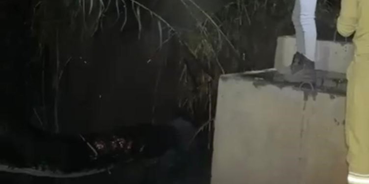 Gazipaşa’da Hazineye Ait Bozuk Ormanlık Alanda Yangın Çıktı