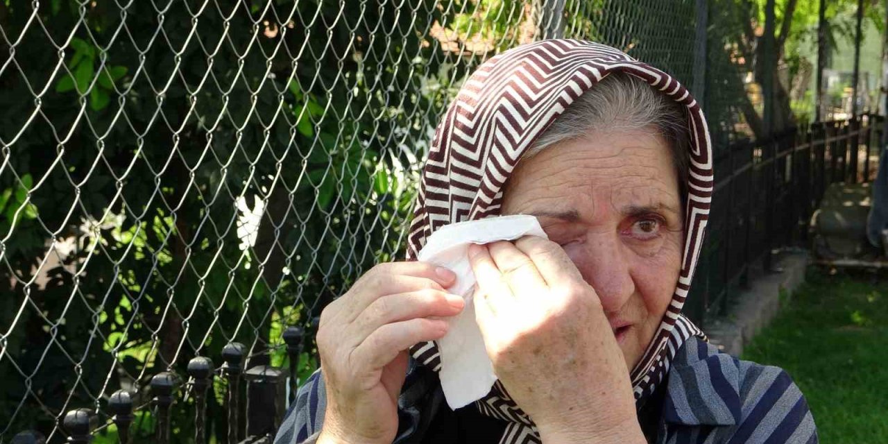 Dünyaca Ünlü Falezlerdeki Yangın Ağlattı