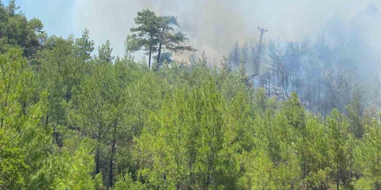 Kaş’taki Orman Yangını Havadan Ve Karadan Müdahaleyle Kontrol Altına Alındı