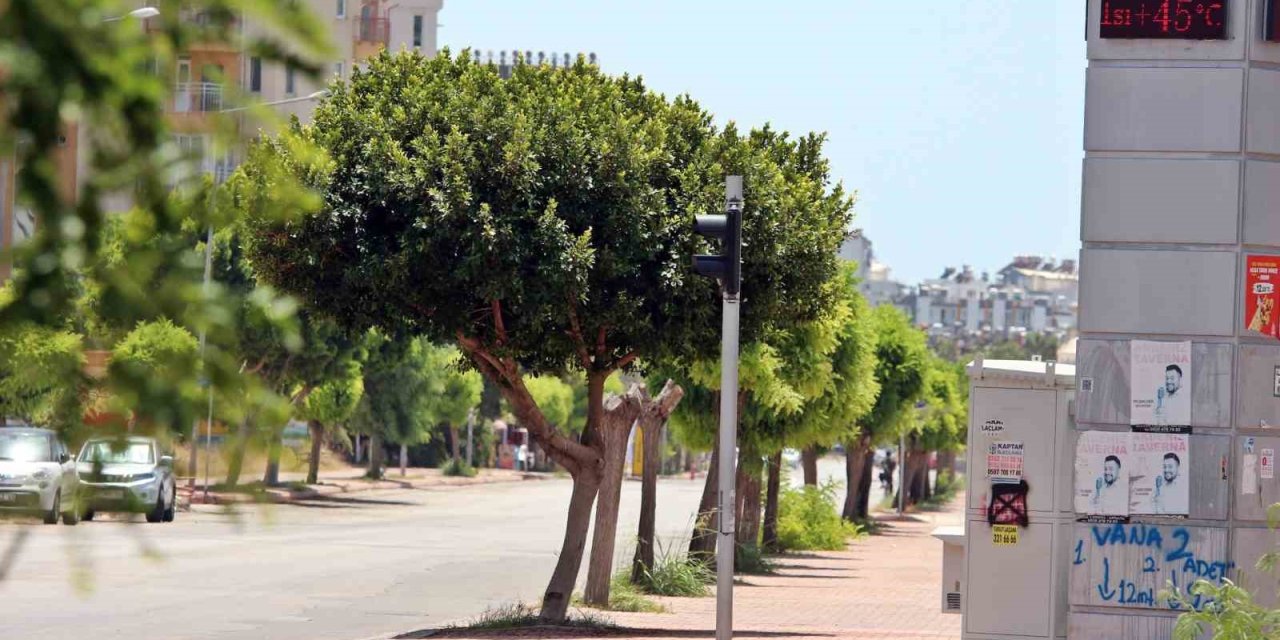 Termometreler 45 Dereceyi Gösterdi, Yağmurdan Kaçar Gibi El Nino’dan Kaçtılar