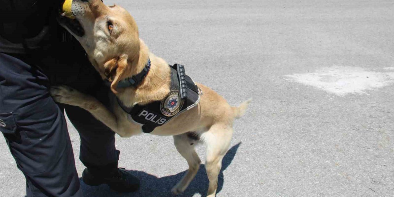 Uyuşturucu Tacirlerinin Korkulu Rüyası ’jack’