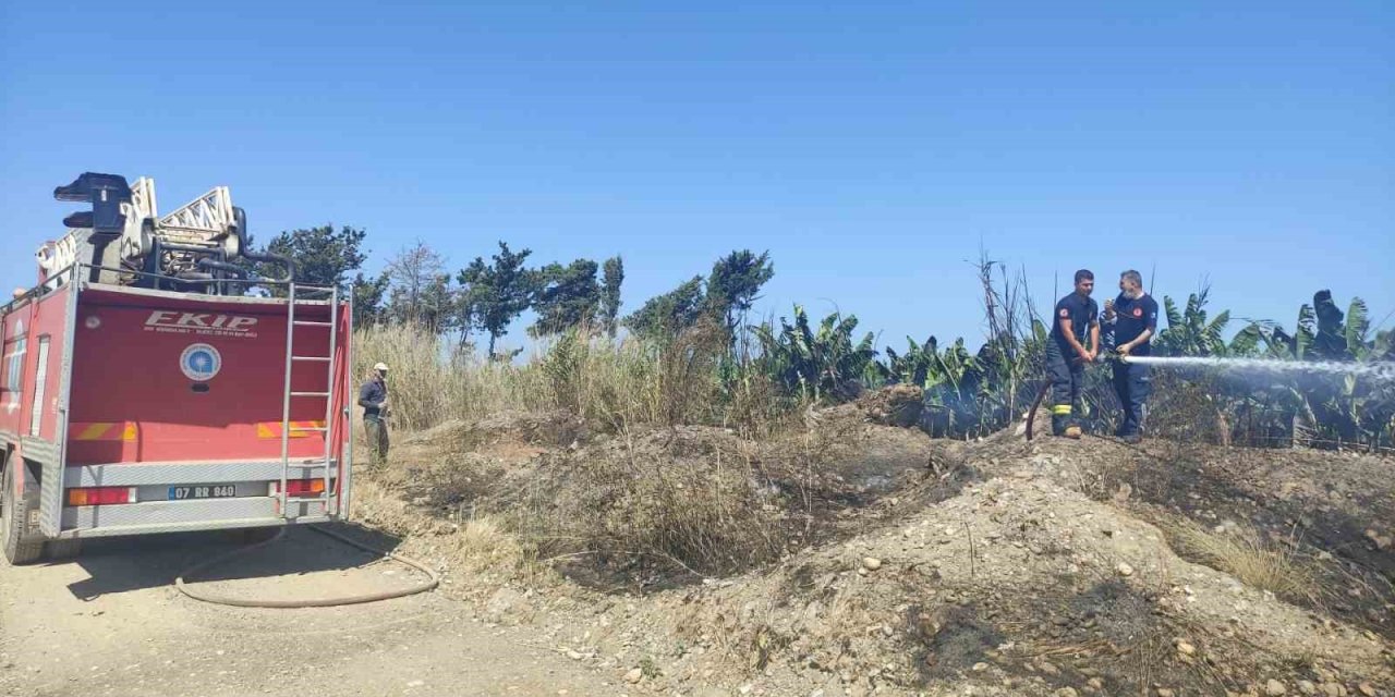 Muz Bahçesinde Korkutan Yangın