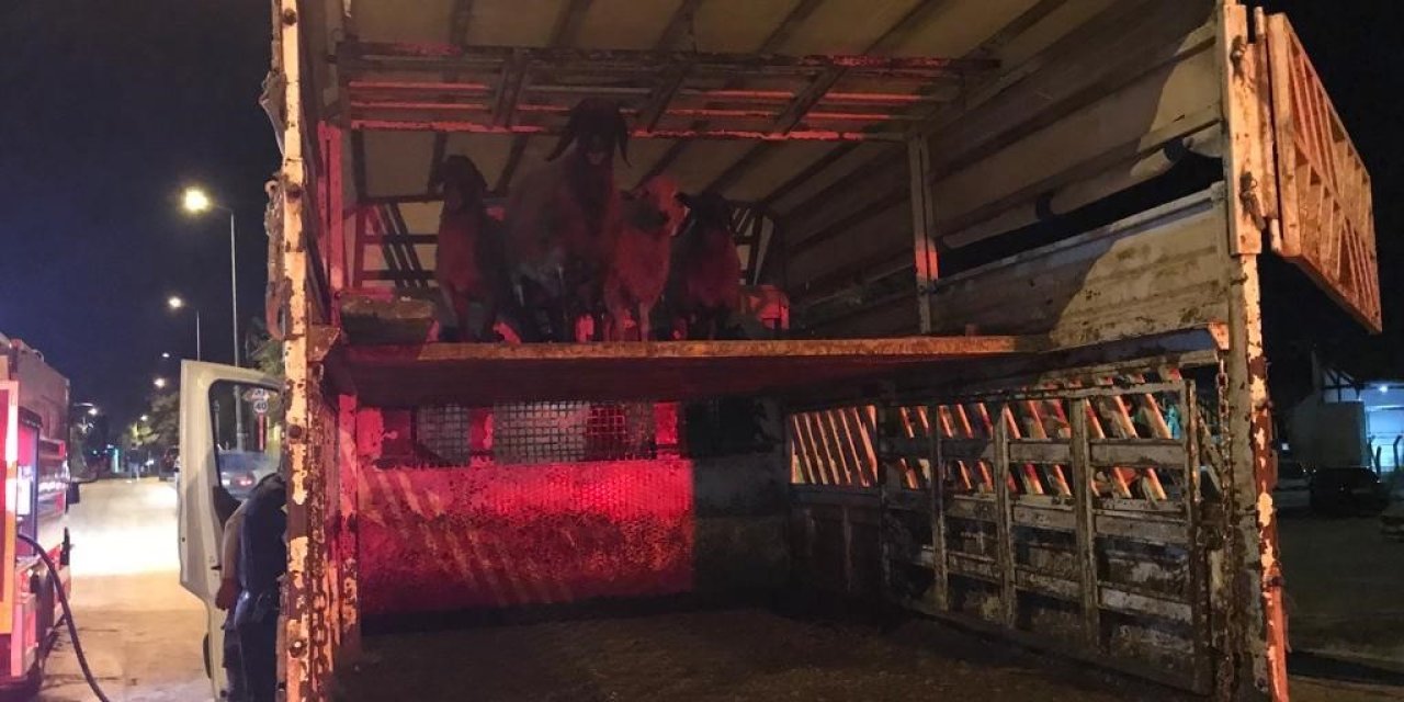 Konya’da Koyun Yüklü Kamyonette Yangın Çıktı