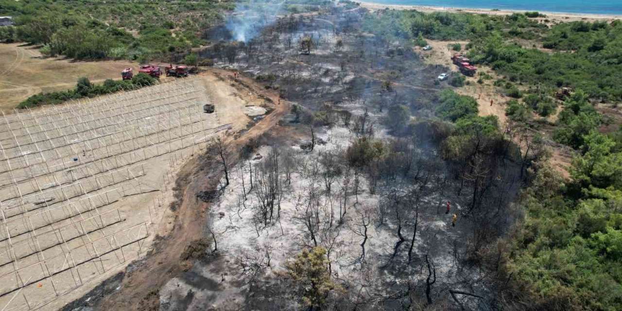Manavgat’taki Orman Yangınında İhmal İddiası