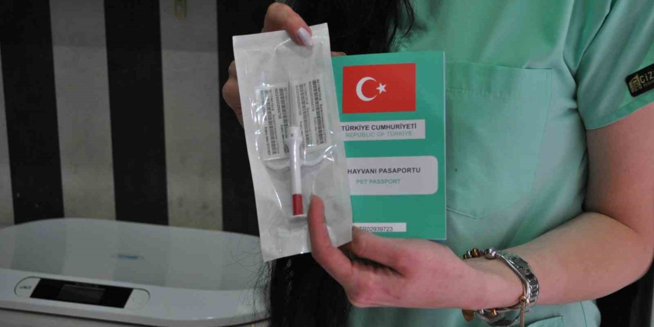 Evcil Hayvanıyla Birlikte Seyahat Etmeyi Düşünenler Bu Prosedürlere Dikkat Etmeli