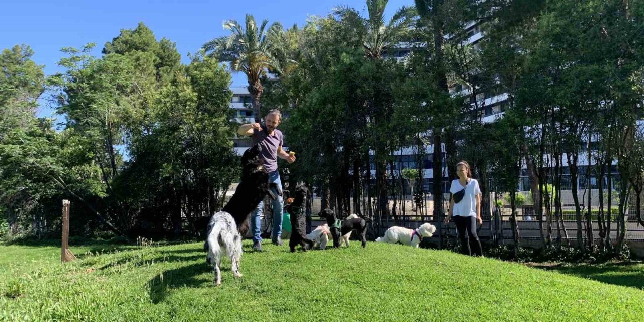 Antalya Büyükşehir Belediyesince Yenilenen Köpek Parkı Hizmete Girdi