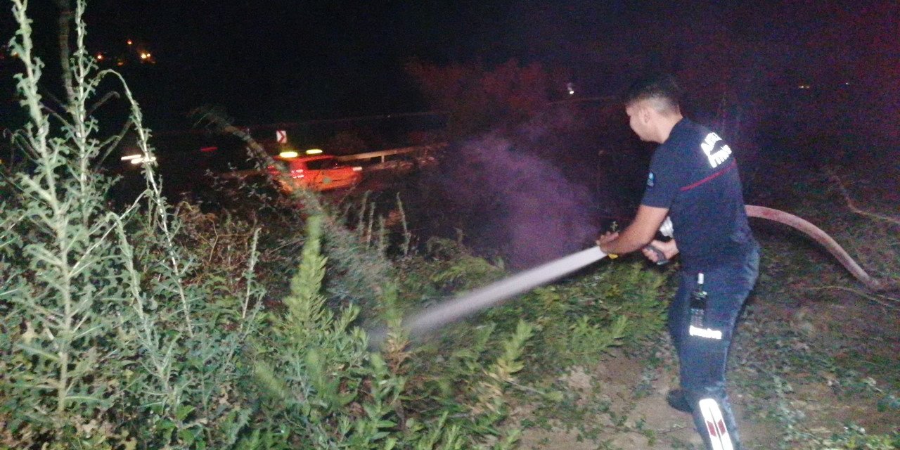 Manavgat’ta Ot Çalı Yangını Korkuttu