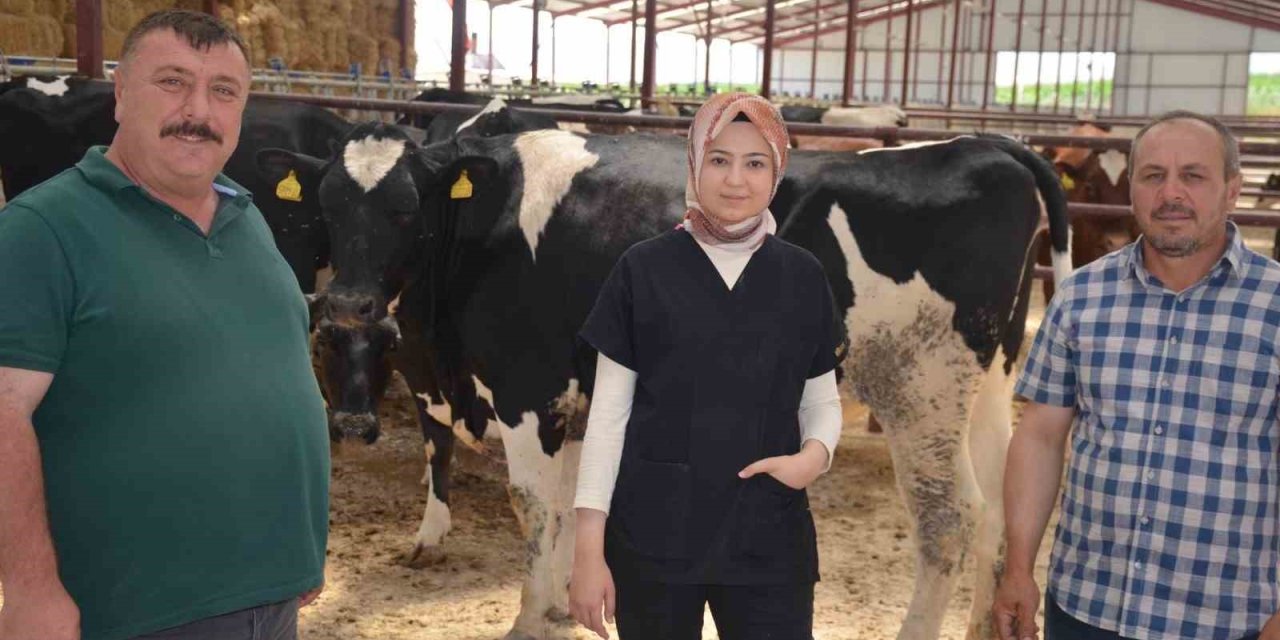 Macar Düveler Beylikova’ya Geldi