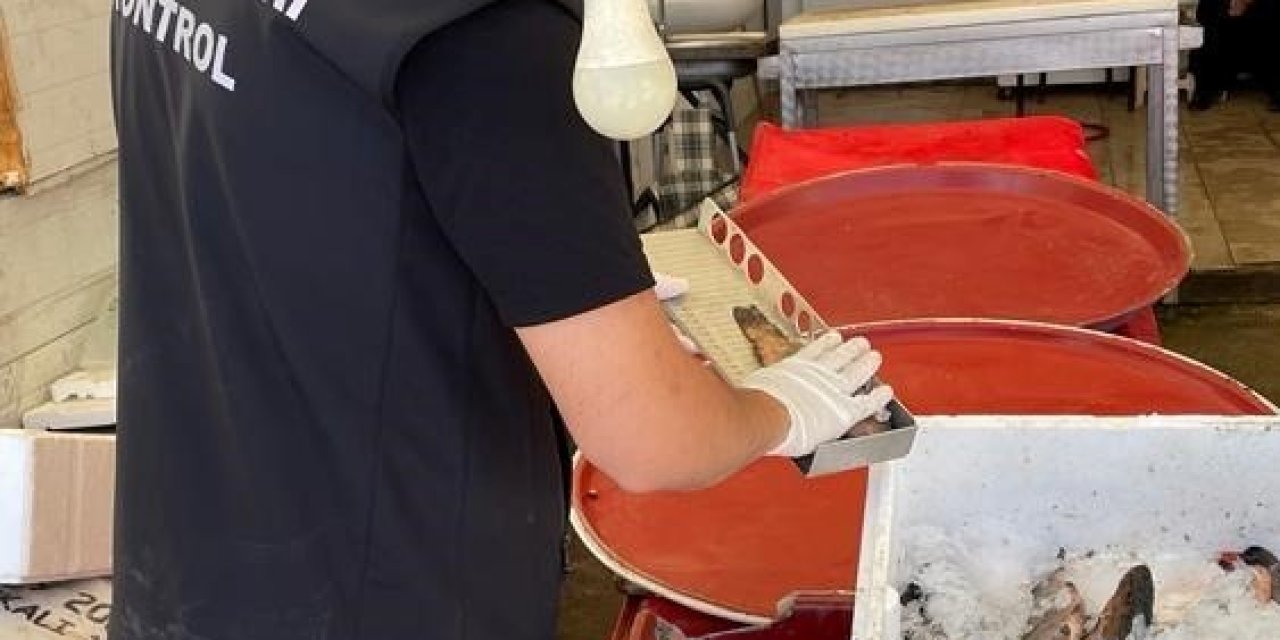 Beyşehir’de Yasa Dışı Avcılık Denetleniyor