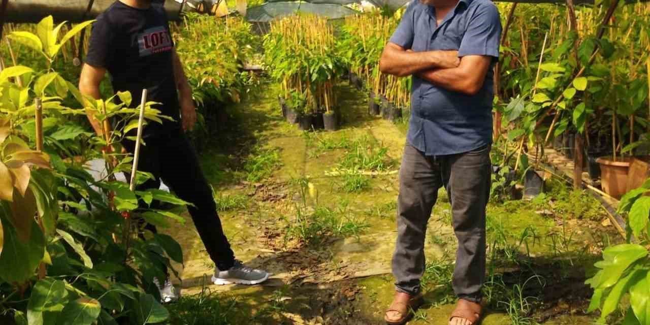 Gazipaşa İlçe Tarım Fide Ve Fidan Denetimi Yaptı