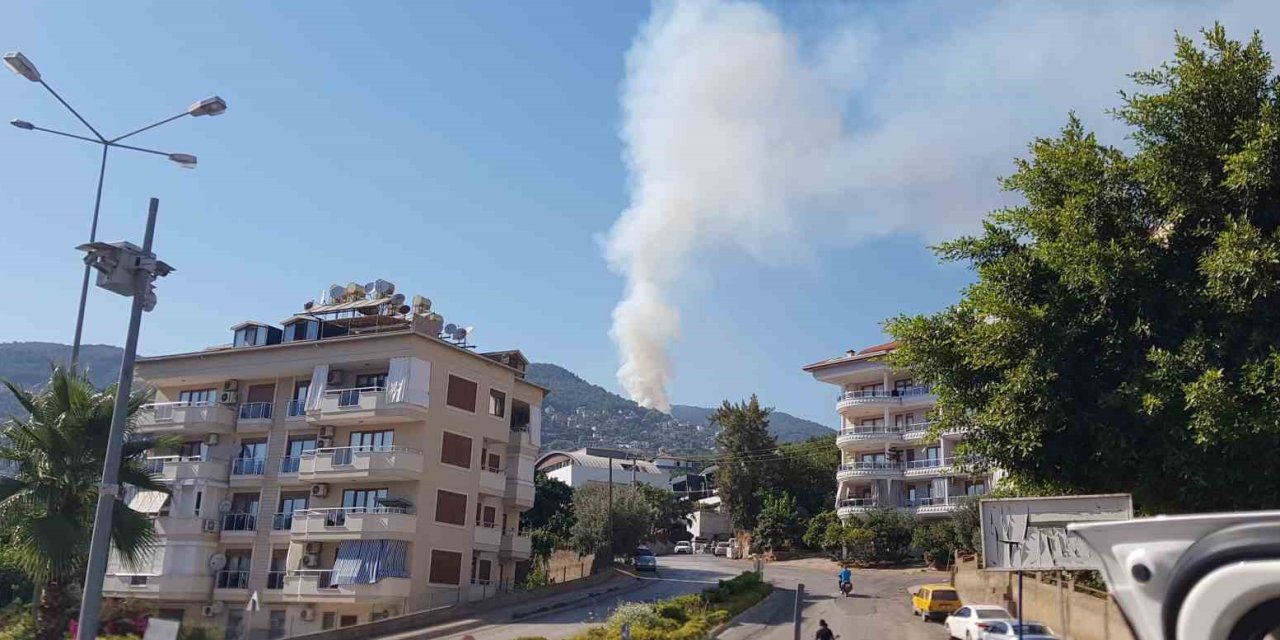 Antalya’da Orman Yangını Kontrol Altına Alındı, 1.5 Hektar Alan Zarar Gördü