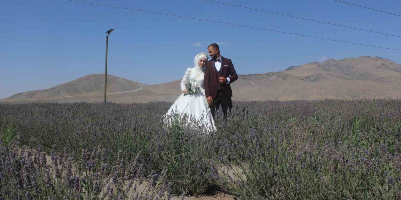 Lavanta Bahçesi Gelin Ve Damatların Uğrak Noktası Oldu