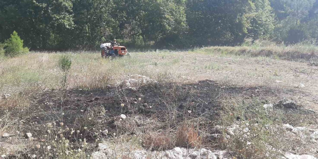 Manavgat’taki Yangın Ormana Sıçramadan Söndürüldü