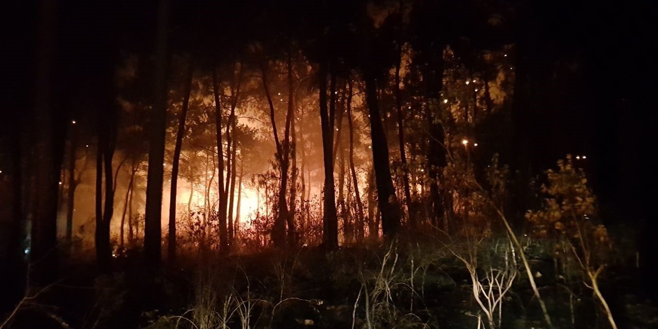 Antalya’da Orman Yangını