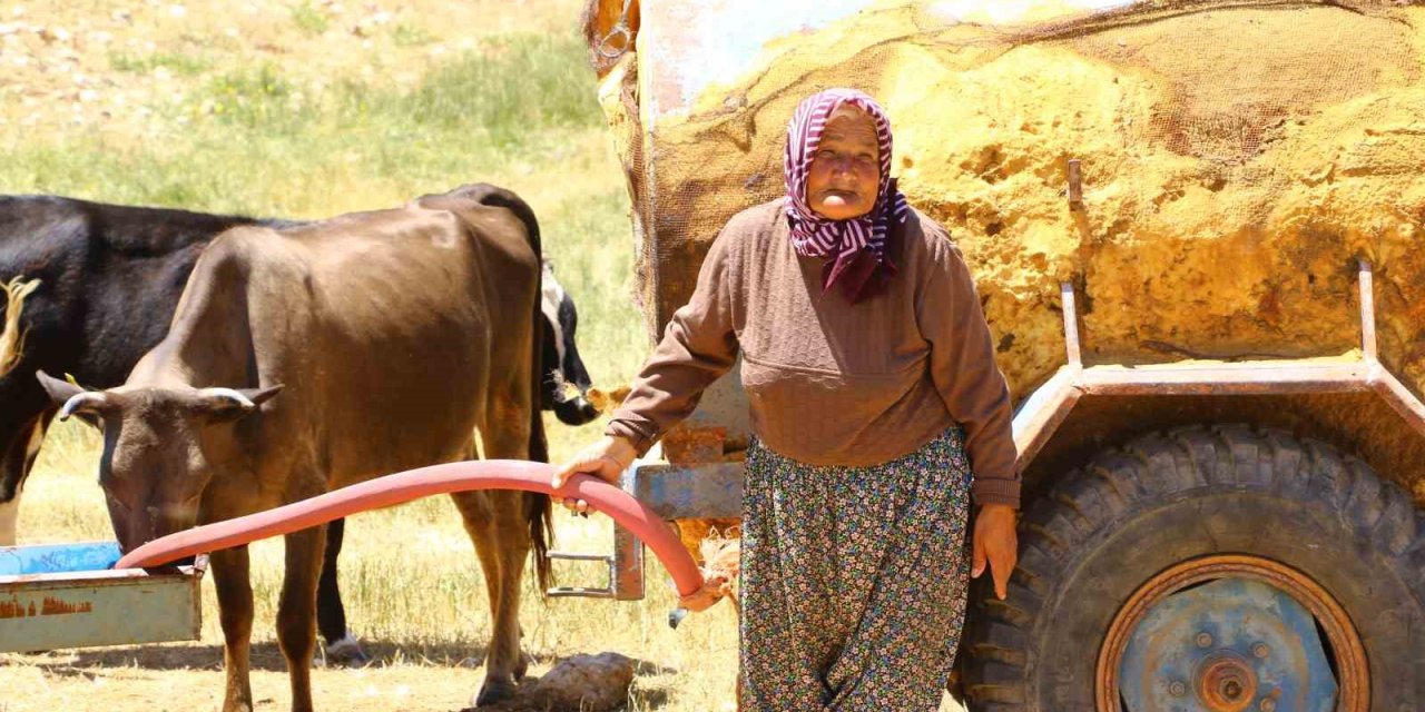 Antalya’nın “çoban Haritası” Çıkartılıyor