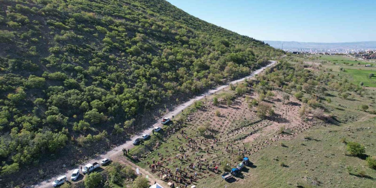 Daha Yeşil Bir Ali Dağı’na Doğru