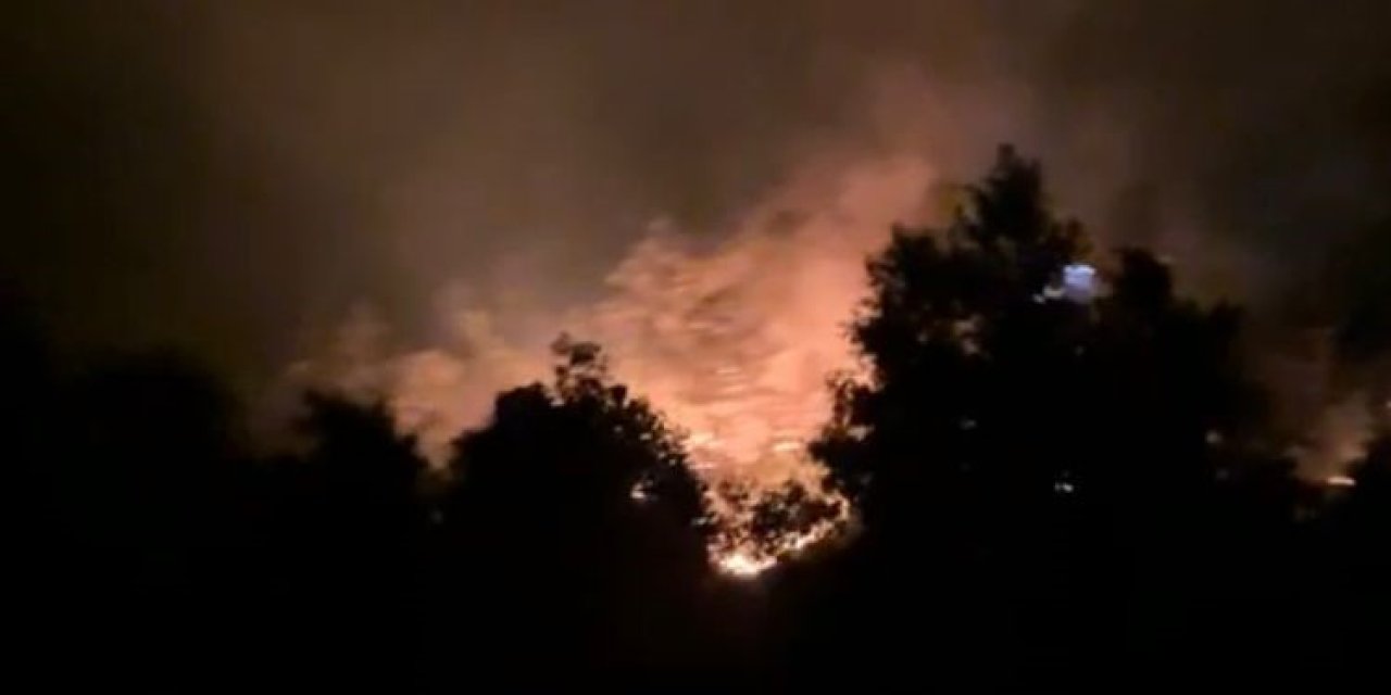 Gazipaşa’daki Orman Yangınında 3 Dönüm Alan Zarar Gördü