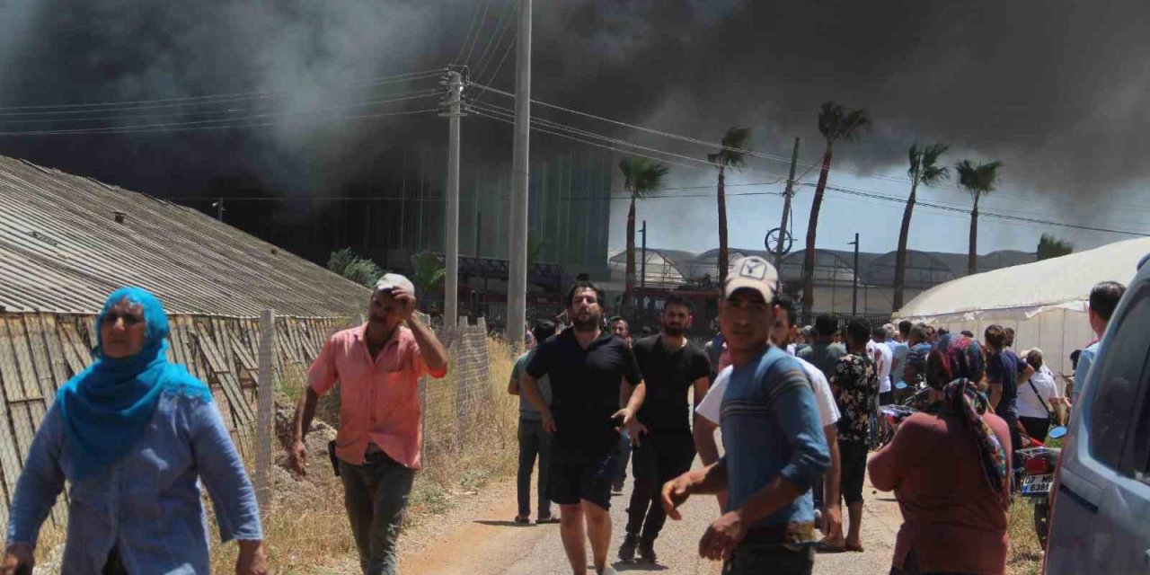 Antalya’da Kesme Çiçek İşleme Tesisi Alev Alev Yandı