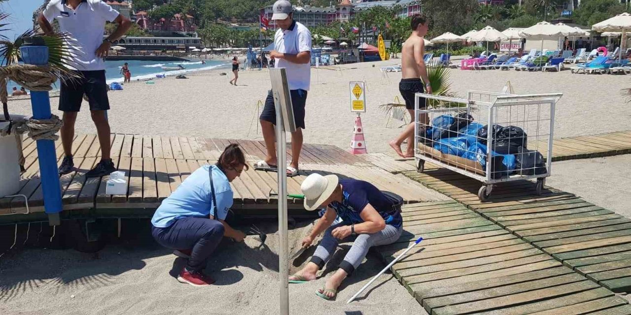 Alanya’da Yuvadan Çıkamayan Caretta Carettalar İçin Seferberlik