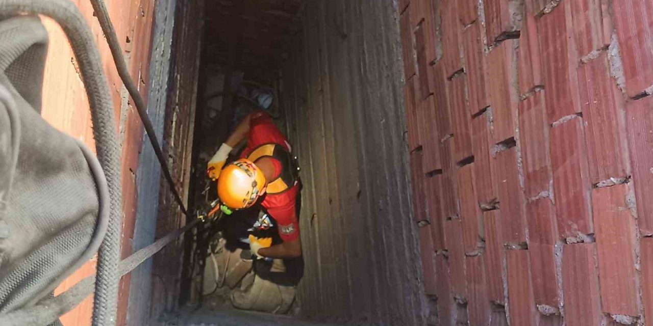 Apartman Boşluğuna Düşen Kedi Ekiplerce Kurtarıldı