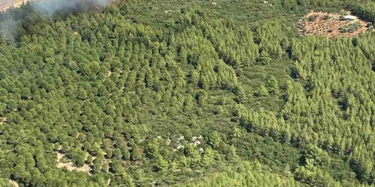 Antalya’da Orman Yangını