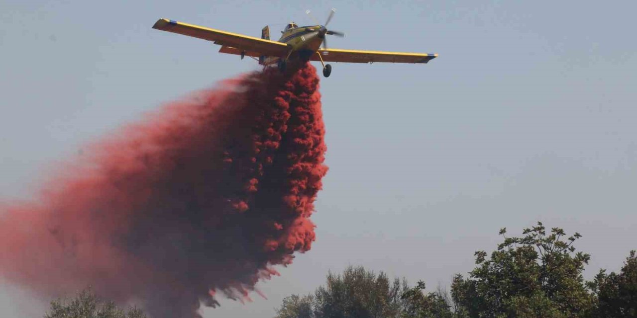 Orman Yangınına Hızlı Müdahale Vatandaşları Memnun Etti: “allah Devletimizden Razı Olsun”