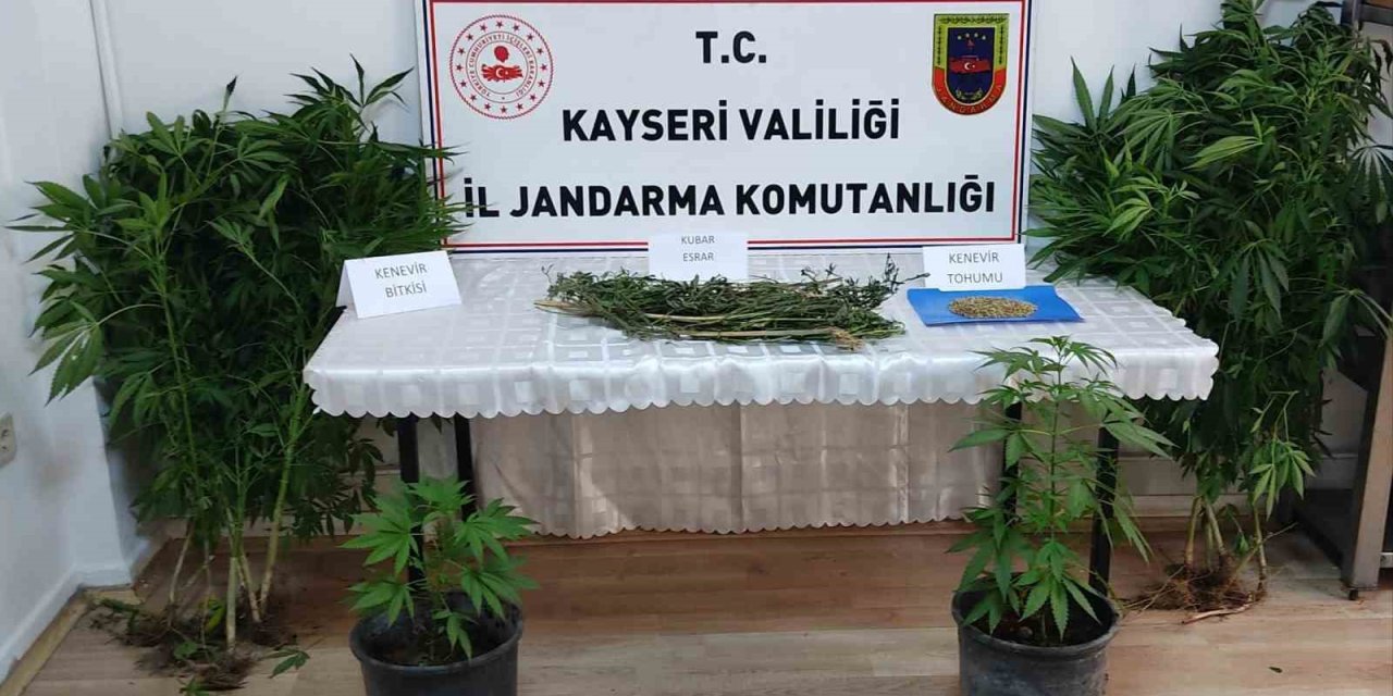 Evinde Kenevir Yetiştiren Şahıs Yakalandı