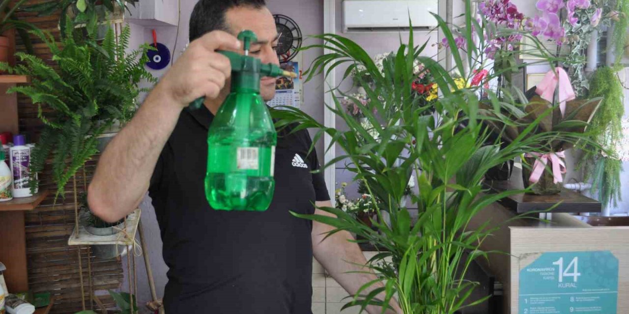 Artan Sıcaklarda Çiçek Bakımına Ekstra Dikkat Edilmeli