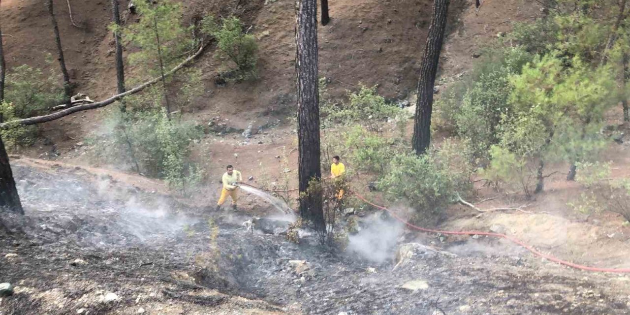 Antalya’da Orman Yangını Büyümeden Söndürüldü