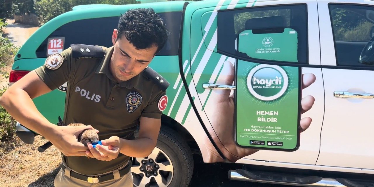 Sıcaktan Ölmek Üzere Olan Kerkenezi Polis Hayata Döndürdü