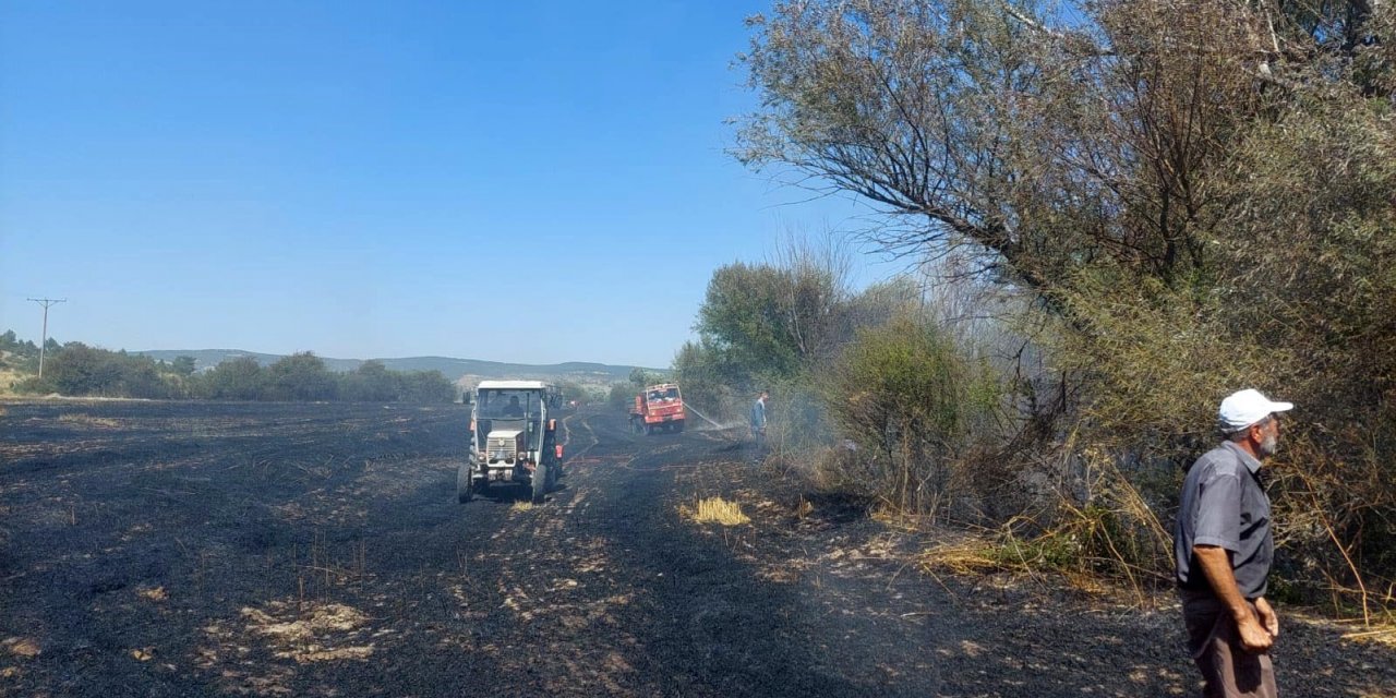 Tarla Yangını Ormana Sıçramadan Söndürüldü