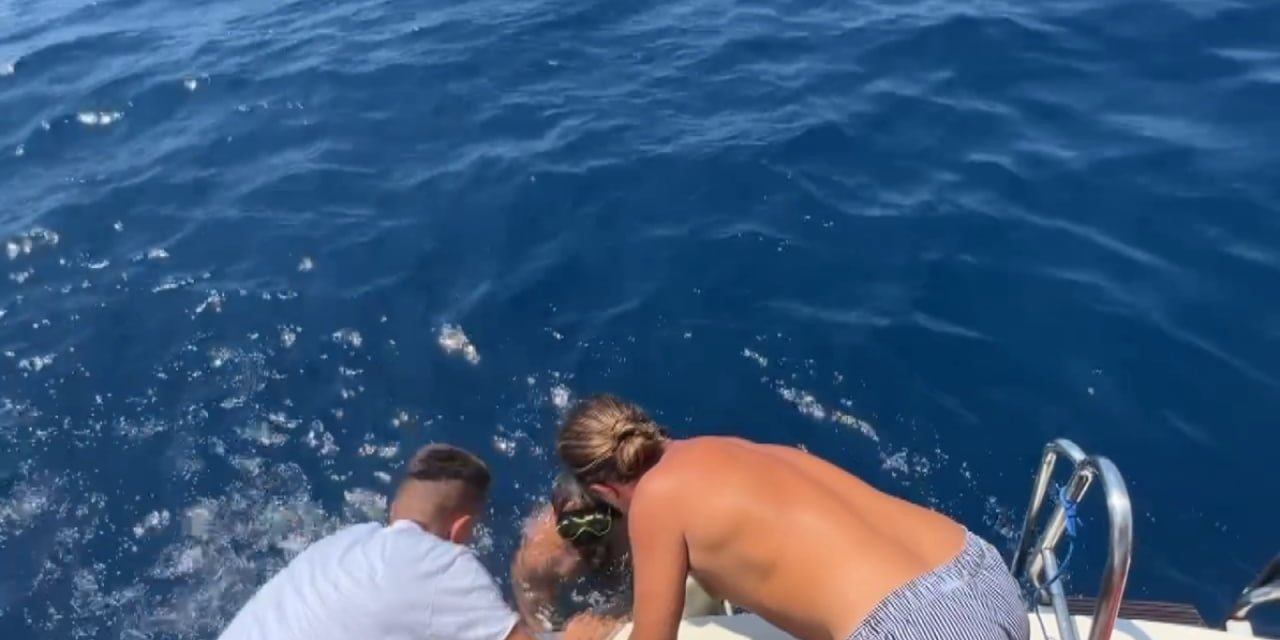 Misina Ve Kanca Takılı Caretta Carettayı Tur Teknesi Kaptanı Denize Atlayarak Kurtardı
