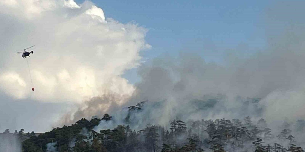 Eskişehir’de 7 Saattir Devam Eden Orman Yangınına Müdahale Sürüyor