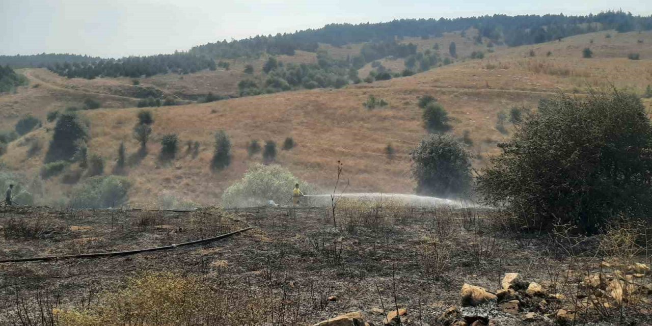 Anız Yakılmasıyla Tarlada Başlayan Yangın Ormanlık Alana Sıçramadan Söndürüldü