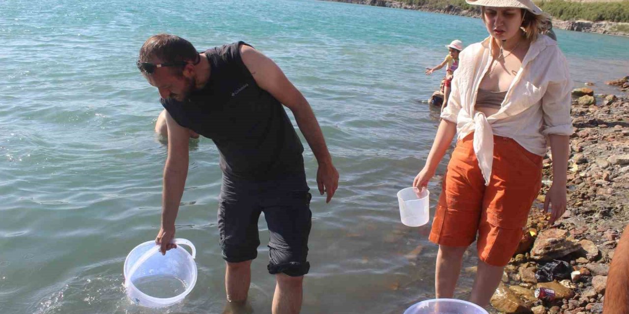 Acıgöl’deki Tuzla Karidesi Deney İçin İncelemeye Alındı