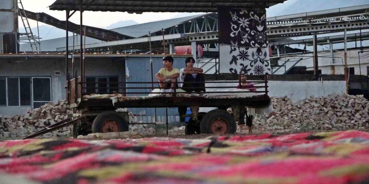 Antalya’da Tarlada Milyonluk Halı Nöbeti: Güneş Batınca Başlayıp, Doğunca Bitiriyorlar