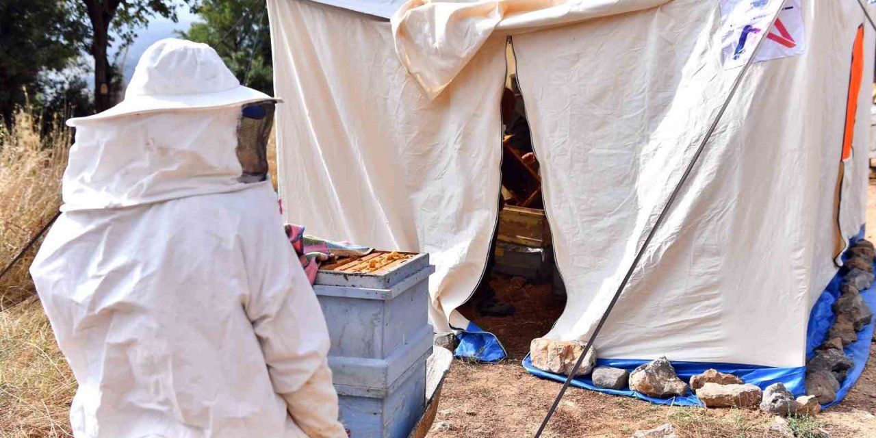 Mersin Büyükşehir Belediyesinden Arıcılara Çadır Desteği